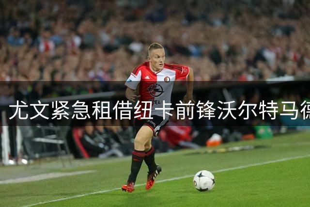 尤文紧急租借纽卡前锋沃尔特马德 500万欧填补锋线空缺