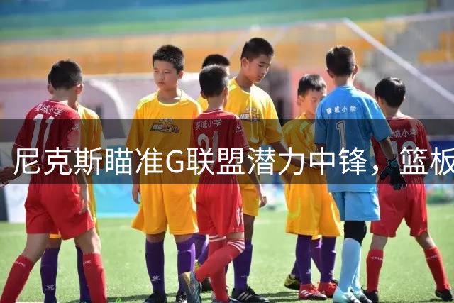 尼克斯瞄准G联盟潜力中锋，篮板怪兽或成替补奇兵