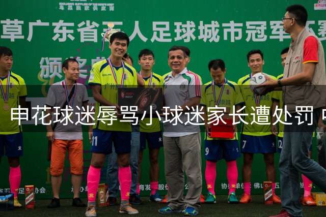 申花球迷辱骂小球迷家长遭处罚 中足联严厉通报批评