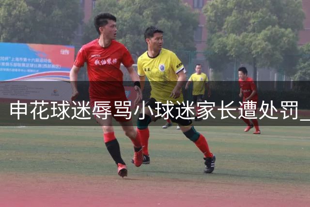 申花球迷辱骂小球迷家长遭处罚 中足联严厉通报批评